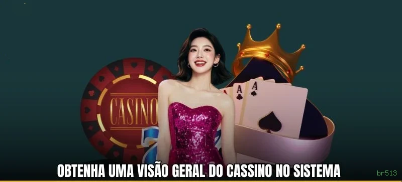 Registro br513 - cadastro rápido